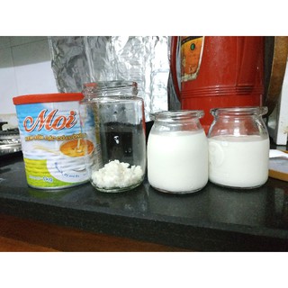 nấm  kefir