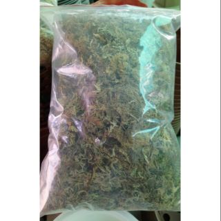 Rêu rừng trồng lan đã qua xử lý, gói 200g