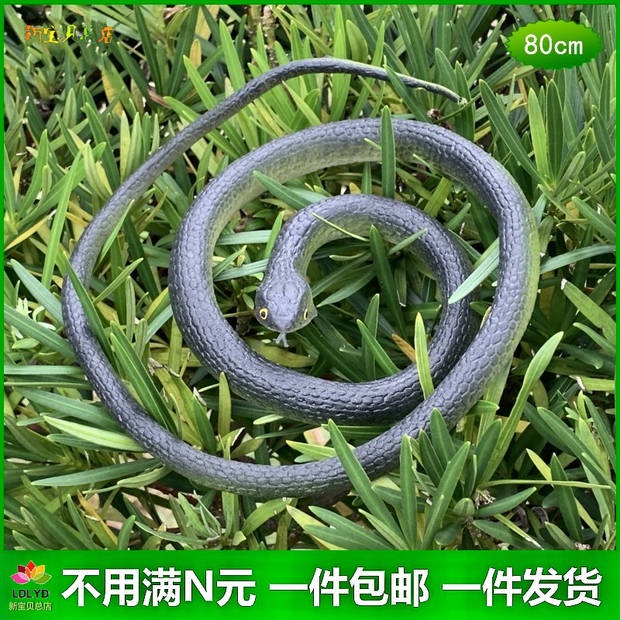 Rắn Đồ Chơi Bằng Gỗ Cho Bé Mô Hình Rắn Gõ Kiến Bằng Cao Su Mềm Cỡ Lớn Trang Trí Sân Vườn