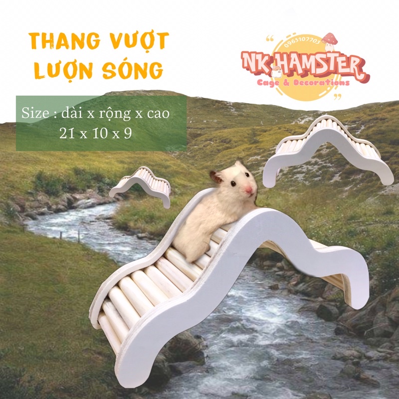 Thang vượt lượn sóng