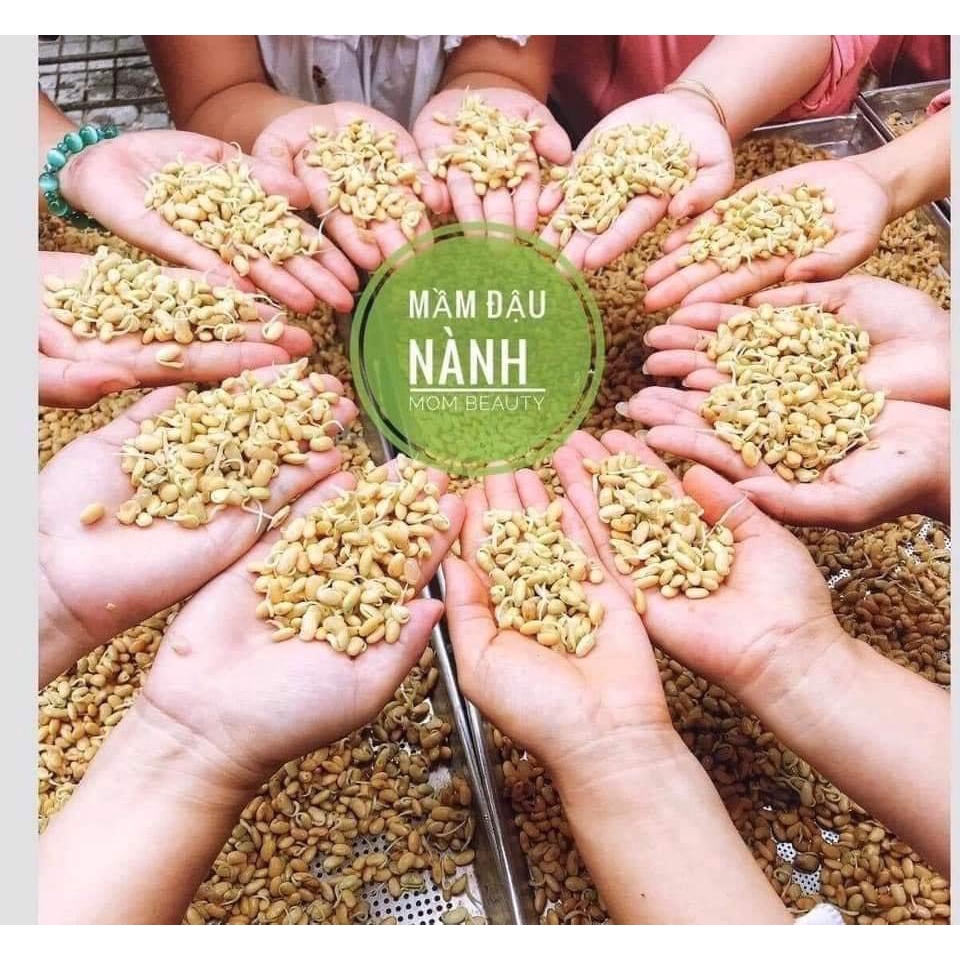 🌿🌿MẦM ĐẬU NÀNH NGUYÊN XƠ MOM BEAUTY GIÚP TĂNG VÀ SĂN CHẮC VÒNG 1 ĐẸP DA DÁNG THON  hộp 500gr | BigBuy360 - bigbuy360.vn