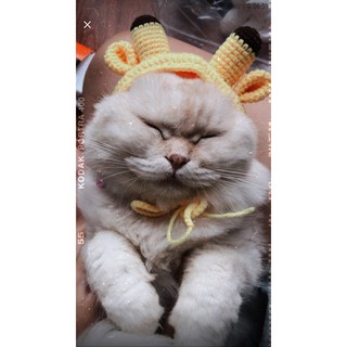 Nón len cho thú cưng NÓN PÉ HƯƠU handmade cho PET chó, mèo,. thỏ, chuột ú.....