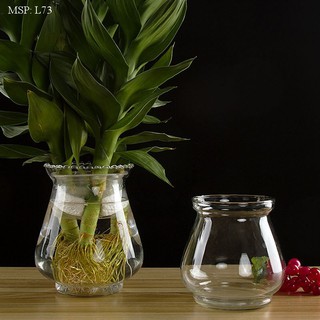 Lọ thủy tinh trồng cây phát lộc