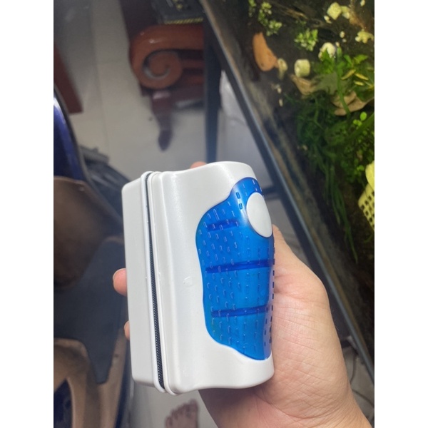 Nam châm vệ sinh bể cá