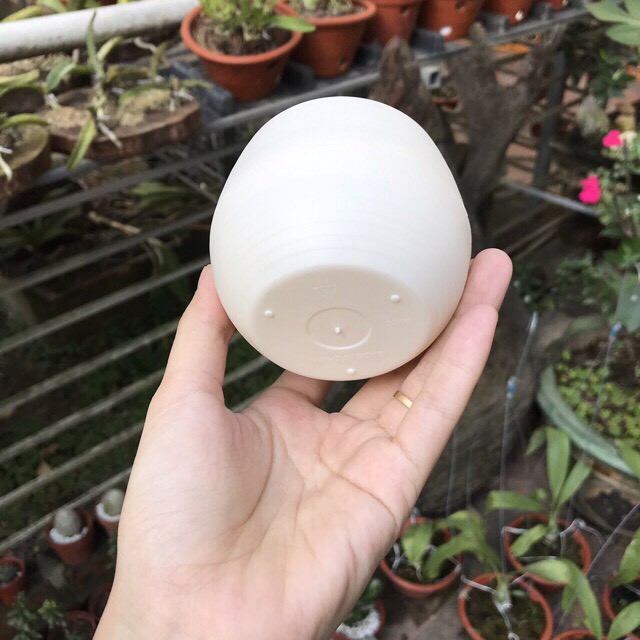 CHẬU NHỰA CHỐNG ÚNG TRỒNG CỎ MÈO, SEN ĐÁ TRANG TRÍ BÀN LÀM VIỆC
