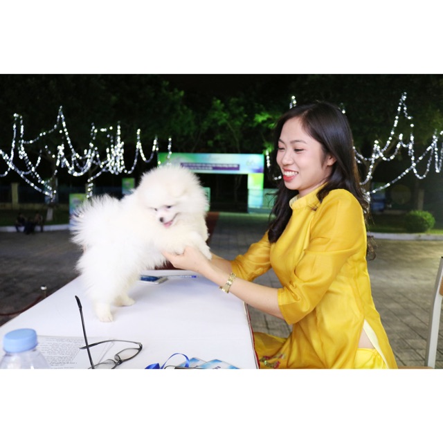Nguyenha_QAhottrend