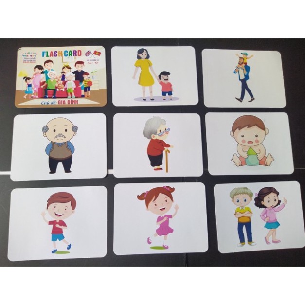 [G03] Bộ Thẻ Học Thông Minh 16 Chủ Đề loại to song ngữ tiếng Anh loại chuẩn Glenn Doman Flashcard S020