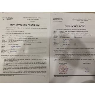 Kem Face Zoley Bốn Màu 10g