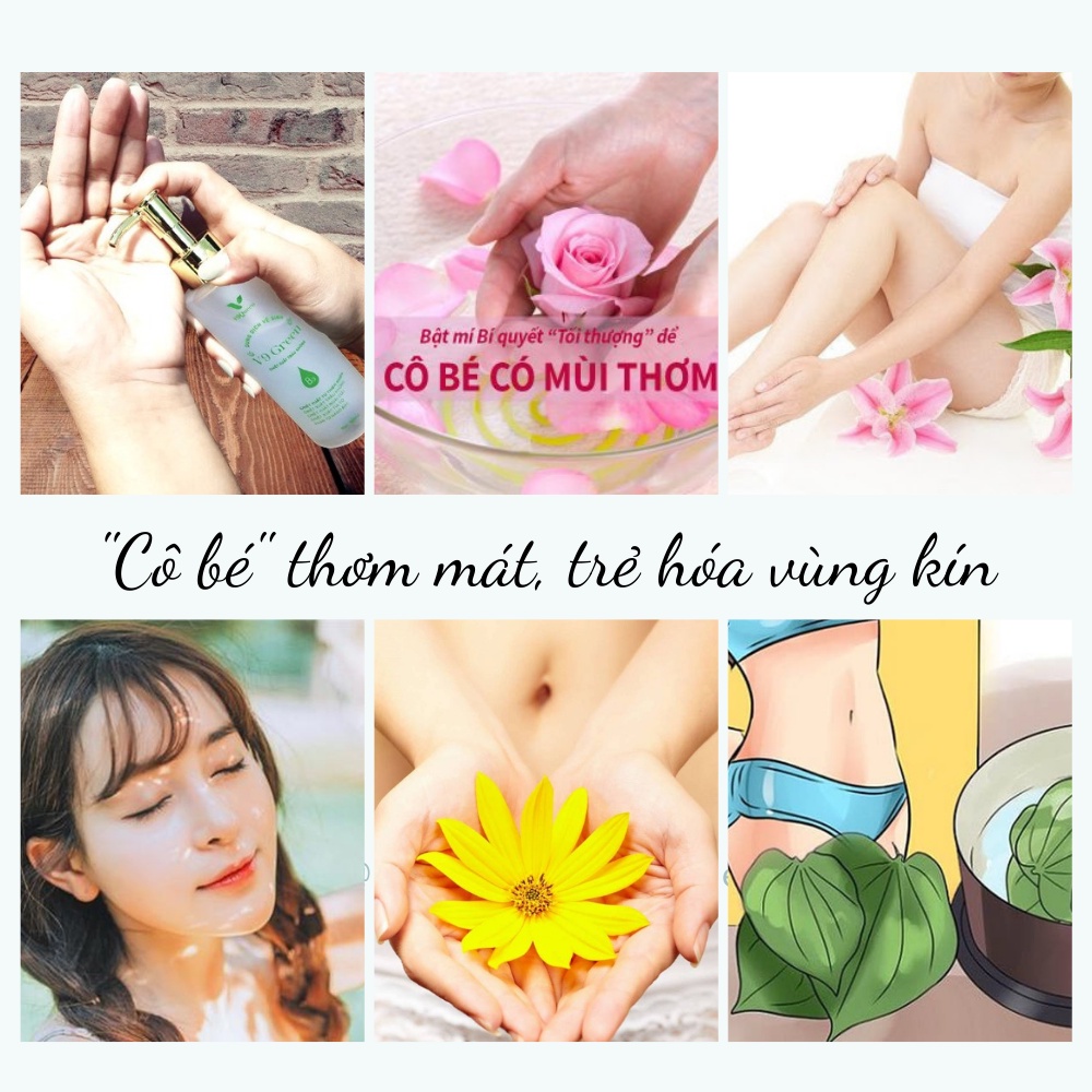 Dung Dịch Vệ Sinh Phụ Nữ V9Queen, Dung Dịch Vệ Sinh Mẹ Bầu Trầu Không, NANO Bạc, Tía Tô, Ngừa Viêm Giảm Ngứa V9 Green