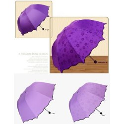 Ô (DÙ) GẶP NƯỚC NỞ HOA