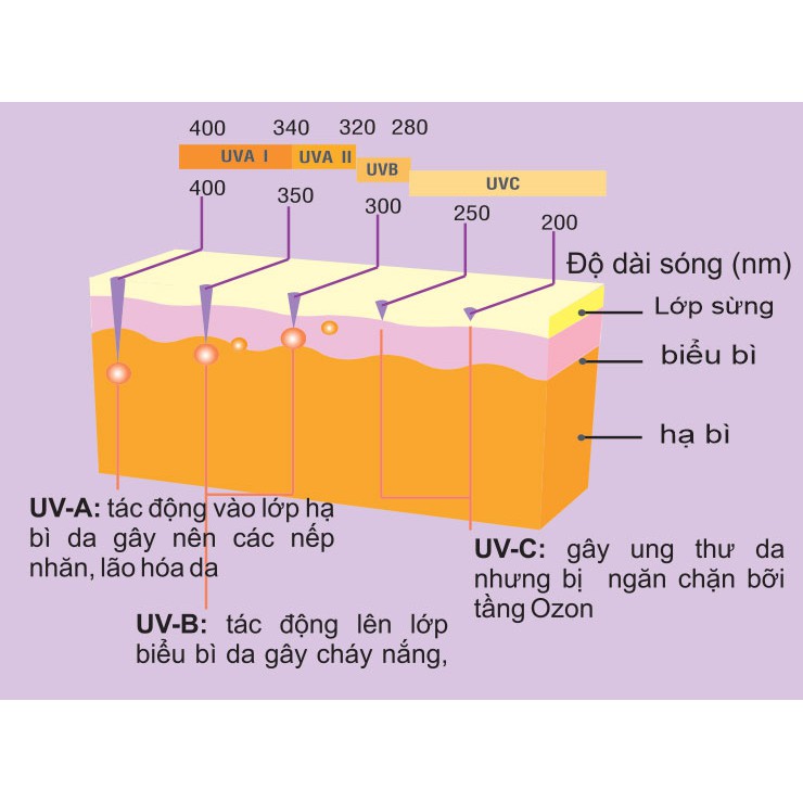 Kem chống nắng VIN21 Facial Sunblock Cream SPF50 PA+++