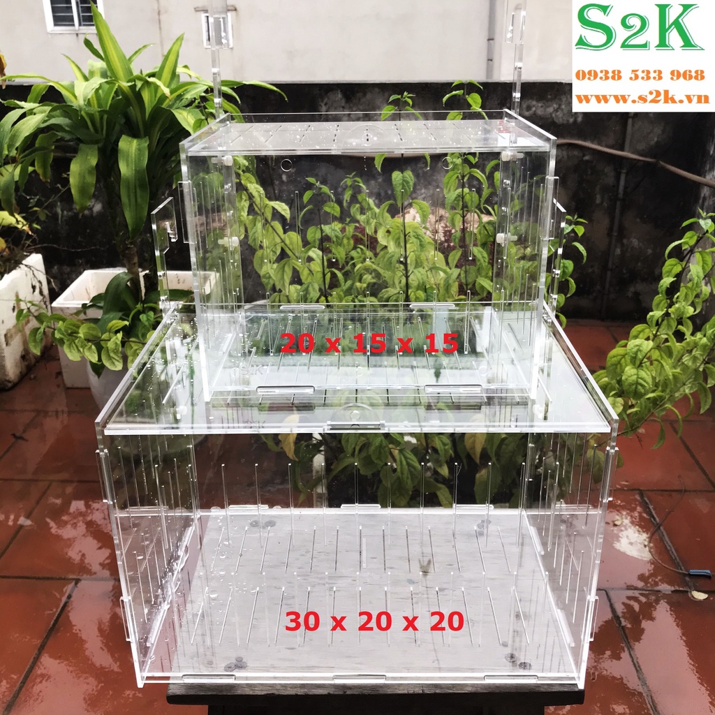 Lồng dưỡng Acrylic:  30x20x20/ 20x15x15/ 15x10x10 Lồng dưỡng cá mica siêu nhẹ, siêu trong...dưỡng cá, tép