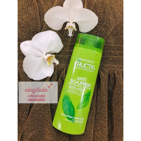 Dầu gội đầu trị gàu Garnier Fructis Anti Shuppen Shampoo (Đức)