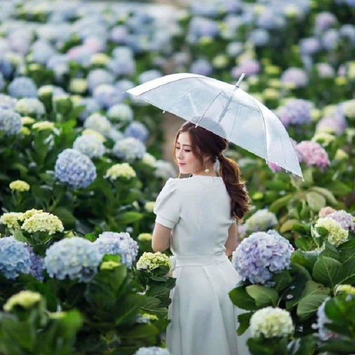 Ô trong suốt thời trang