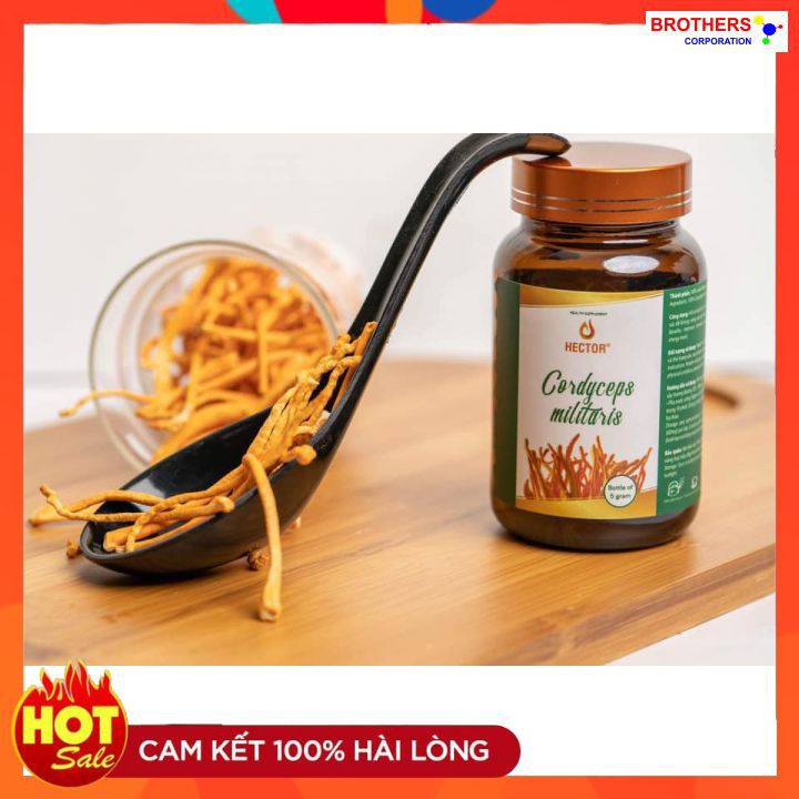 [Chính hãng] Đông trùng hạ thảo Hector sấy thăng hoa (Lọ 5 gram) | BigBuy360 - bigbuy360.vn