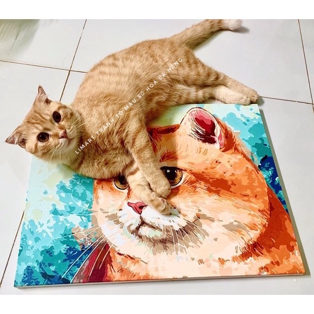 [Sẵn size 60x75] Tranh sơn dầu số hoá có khung LIM Art - Tranh tô màu theo số size lớn 60x75