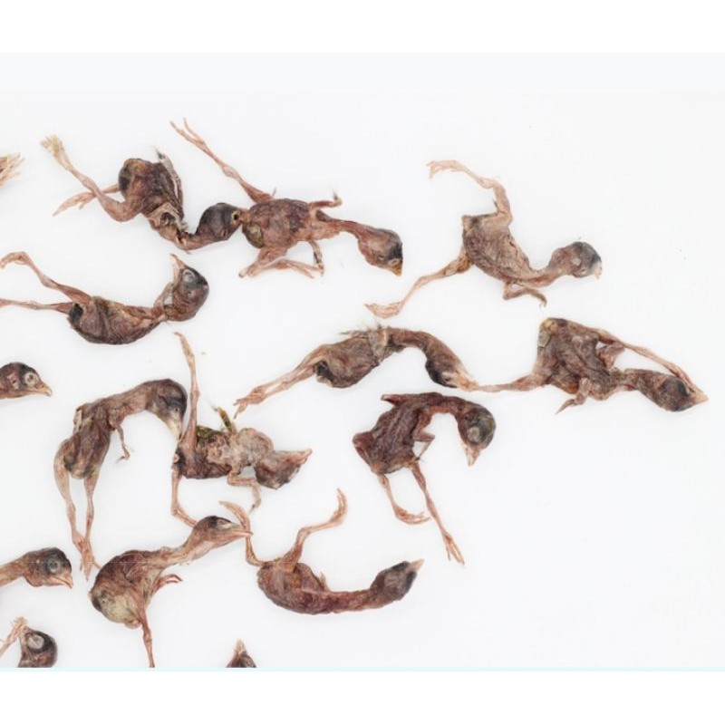 Chim Cút Sấy Cho Cún Mèo - 50G