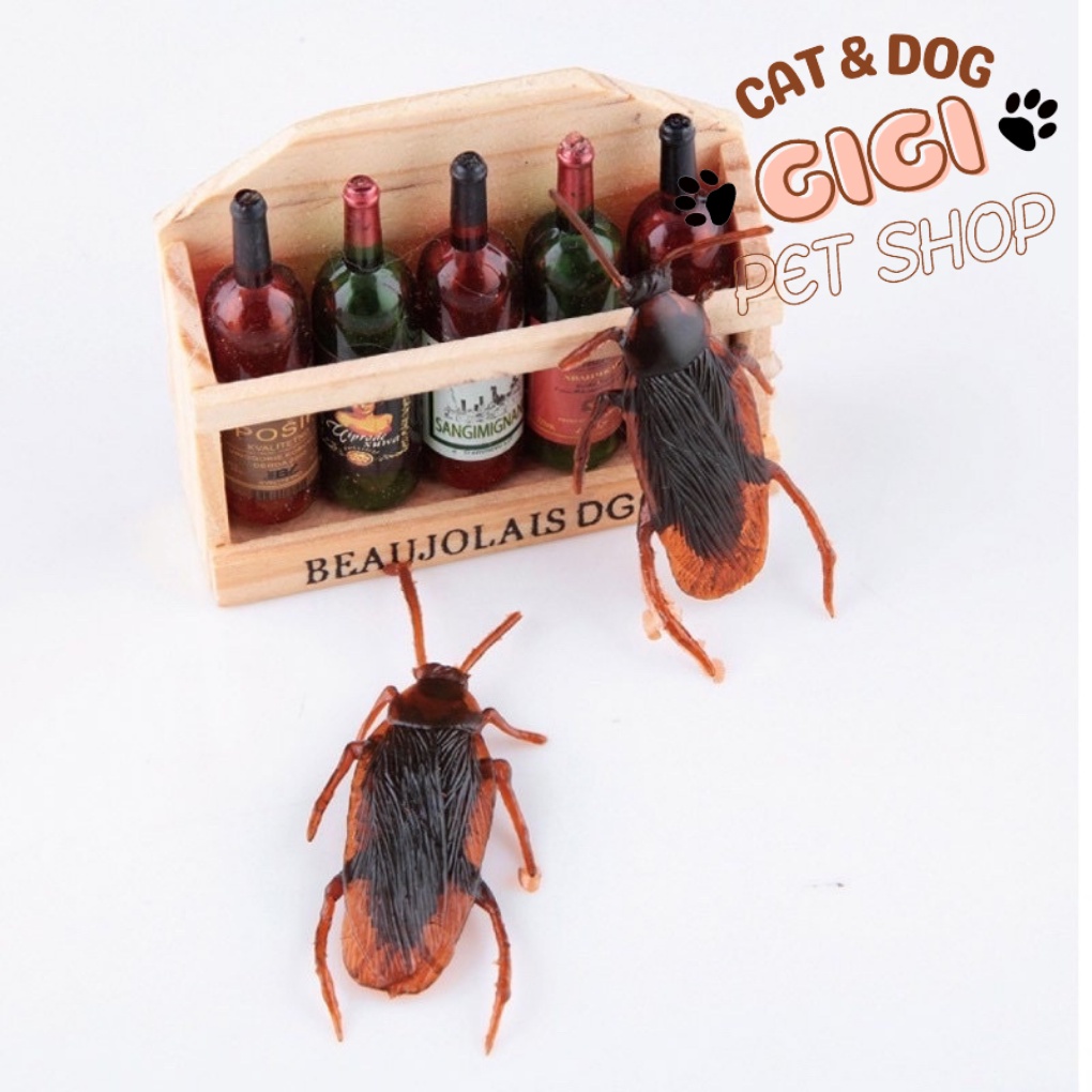 Gián đồ chơi cho thú cưng chó mèo giả trí phụ kiện được mô phỏng như thật - GiGi Pet Shop
