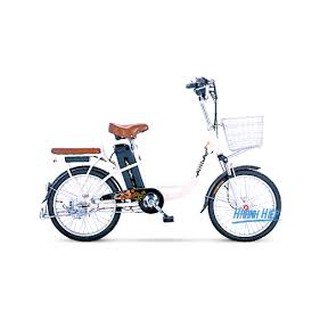 Sạc pin xe đạp điện Aima ED112 48V-12A