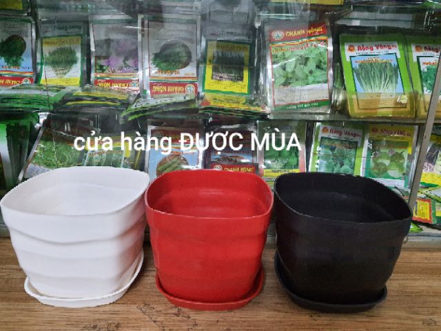 Chậu vuông sóng kèm dĩa lót đk 19cm