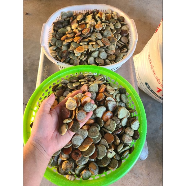 Nhân Hạt Gấc Đã Rang (1kg) ( cam kết chất lượng)