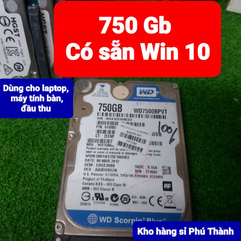 Ổ cứng 750Gb có sẵn Win 10 dùng cho laptop, máy tính PC - HDD 750Gb 500Gb 320Gb 160Gb