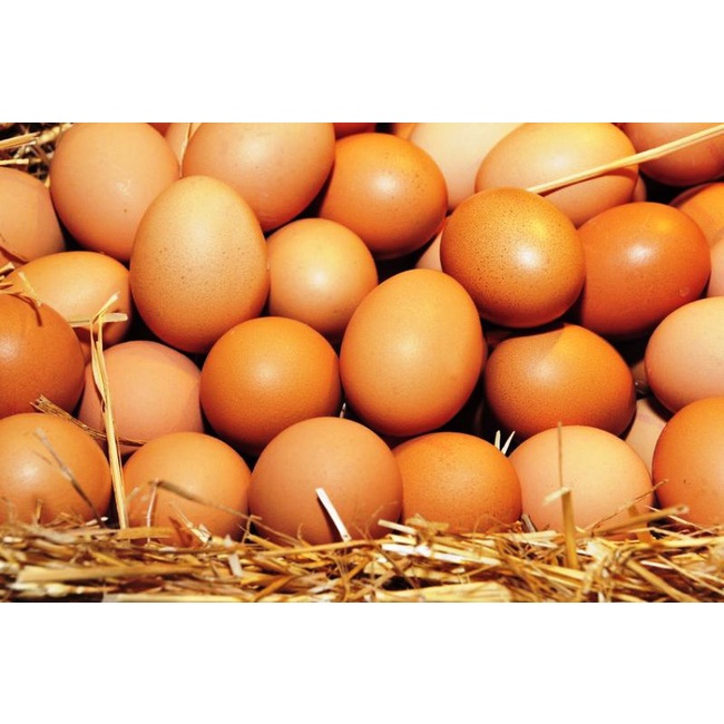 Trứng gà, vịt tươi set 10 trứng ( chỉ giao Sài Gòn qua Nowship)