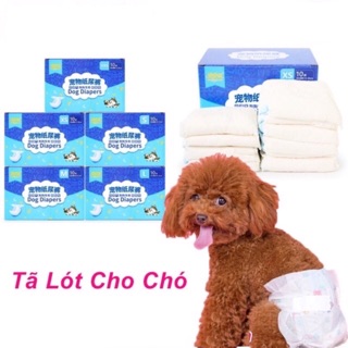 TẢ-BỈM CHÓ CÁI