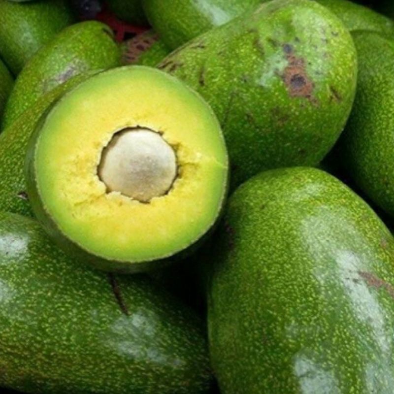 Bơ Sáp Đắk Lắk 1 Kg