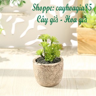 Cây giả - Chậu Sen đá (cả cây và chậu)