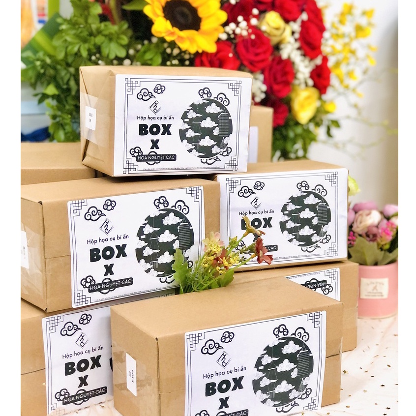 Hộp họa cụ bí ẩn Box X