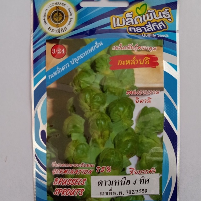 Hạt giống Bắp cải xanh tí hon nhập thái lan nguyên gói_Bắp cải mini xanh chịu nhiệt Brussels Sprouts