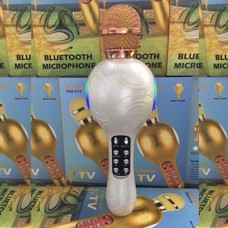 Micro bluetooth karaoke ZBX-919
