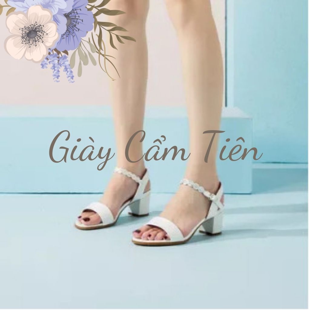 Giày Cao Gót 2p-9p big size 33-44