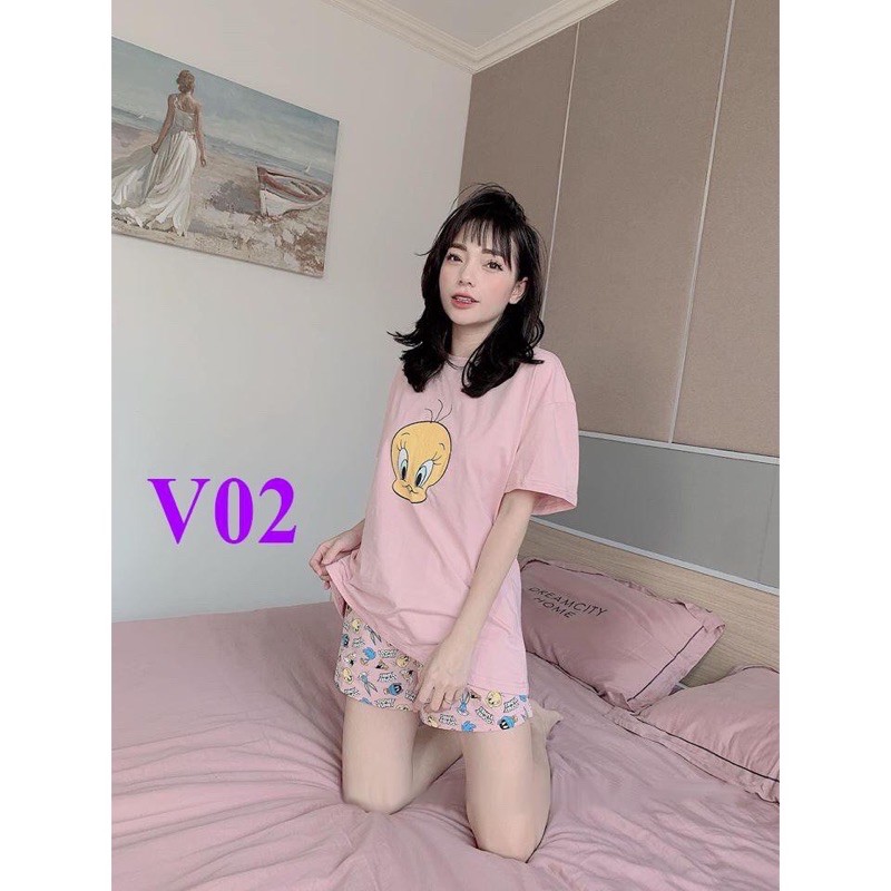 {Mã giảm giá + Hổ trợ Ship} Đồ bộ nữ, thun Cotton 100% cực mát, đủ size, 42-70kg, mã V01