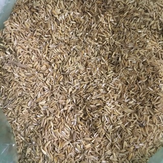 500g vỏ trấu