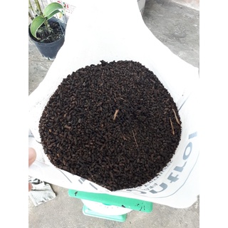 Phân Dơi Tự Nhiên Nguyên Chất