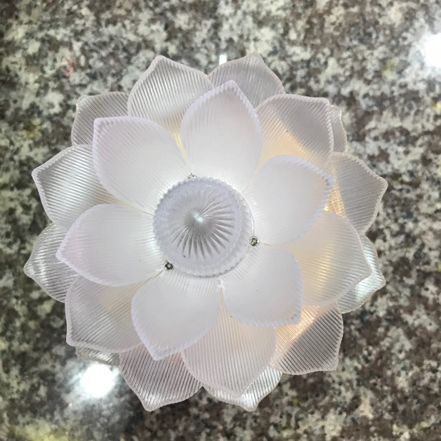 Đèn hoa sen đổi màu (150/1 cây)