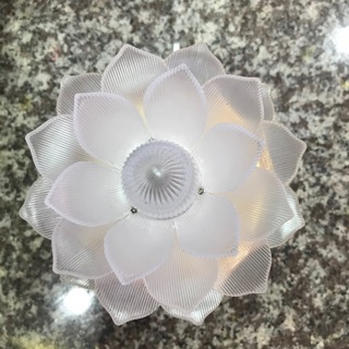 Đèn hoa sen đổi màu