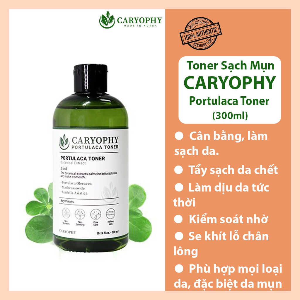 Nước hoa hồng dành cho da mụn Toner Caryophy Portulaca mờ thâm mụn làm dịu và cân bằng da , tẩy da chết 300ml