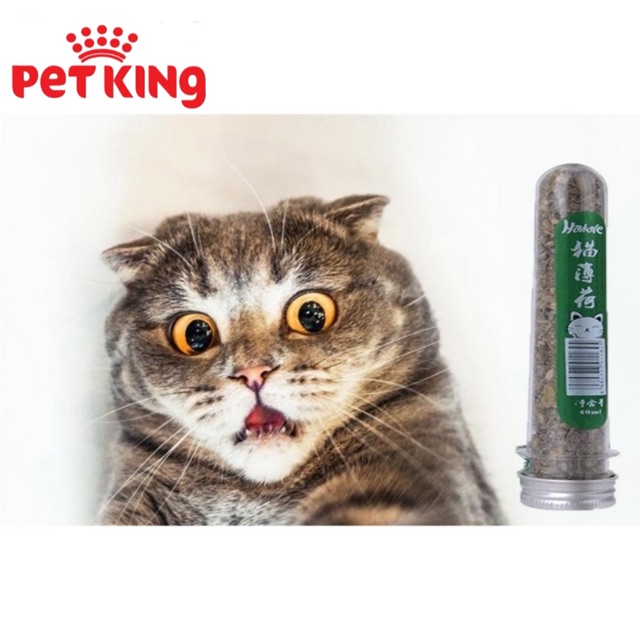 Cỏ Bạc Hà cho Mèo Catnip hahale 40ml