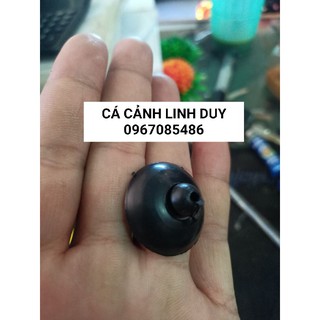 HÍT GIỮ CHÂN MÁY BƠM , NÚM HÍT MÁY BƠM , NÚM HÍT MÁY