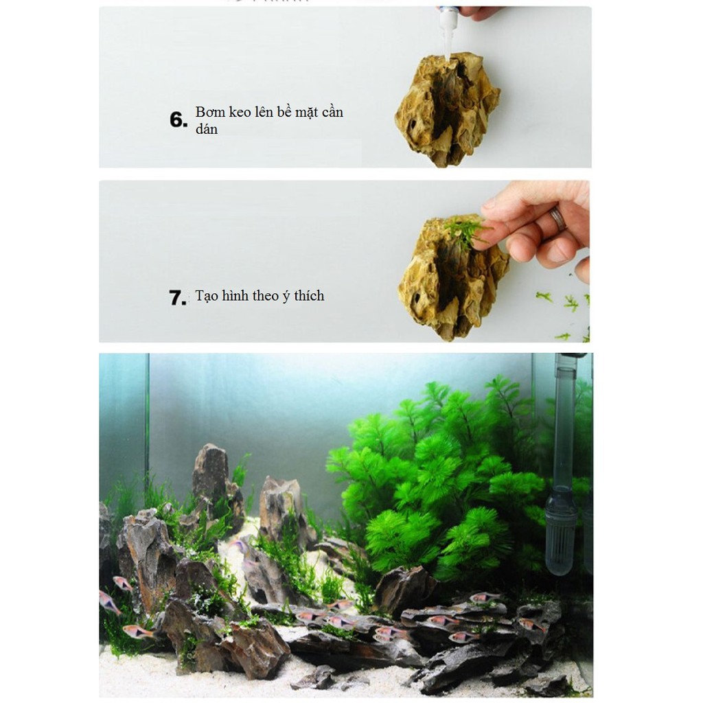 Keo dán rêu thủy sinh (2 tuýp)
