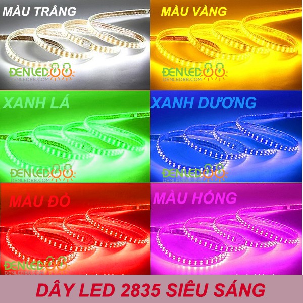 Cuộn Dây LED  2835 Đôi Dài  100m  Ánh Sáng Vàng,Trắng, Xanh Lá ,Xanh Dương,Đỏ,RBG,Hồng