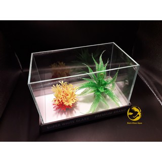 Bể đúc siêu trong 30x18x20cm