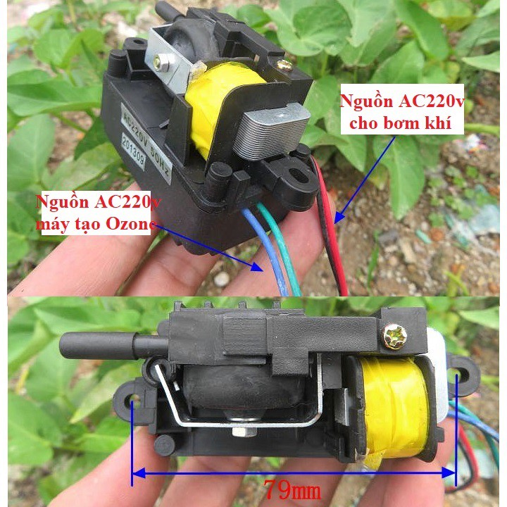 Máy sục khí, Ozone 12v hoặc 220v
