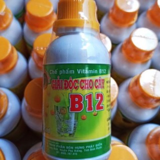 Vitamin B12 giải độc, chống sốc cho lan,chai 100ml