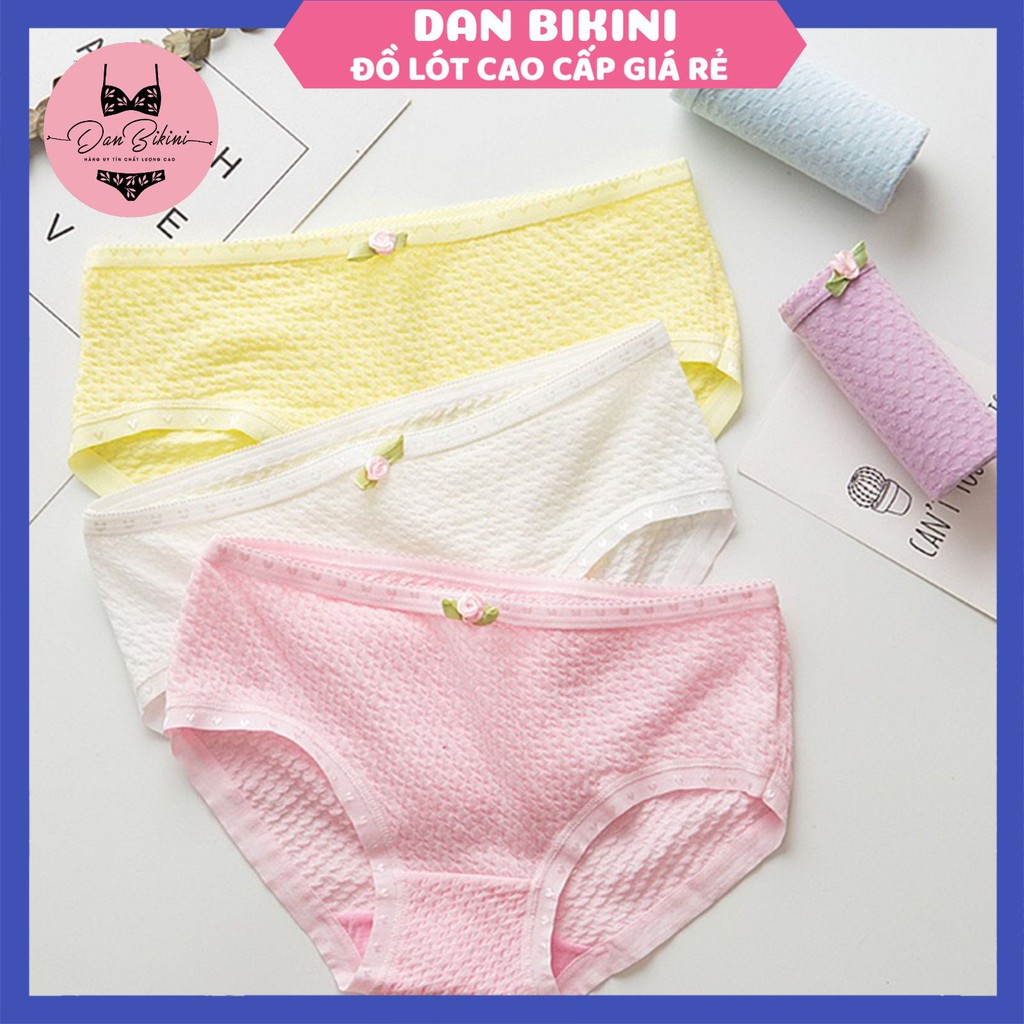 Quần Lót Nữ Cotton kháng khuẩn thoáng mát được chọn màu mã 9040