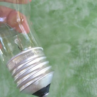 Đèn máy ấp trứng - bóng trong suốt hoặc đục