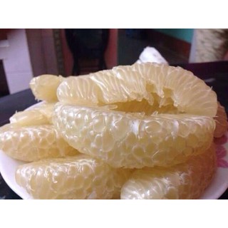 Cây giống bưởi đoan hùng